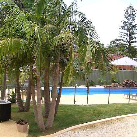 Koala Tree Motel Port Macquarie Eksteriør bilde