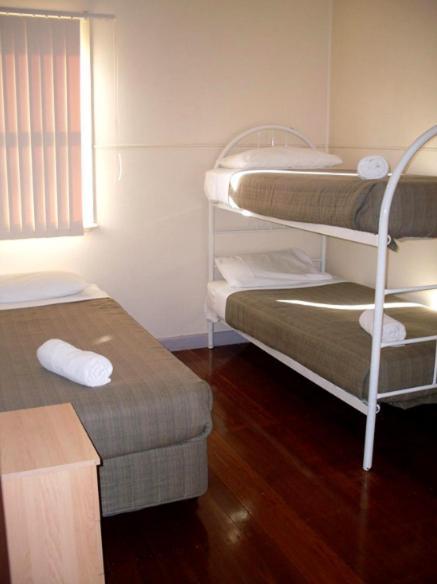 Koala Tree Motel Port Macquarie Rom bilde