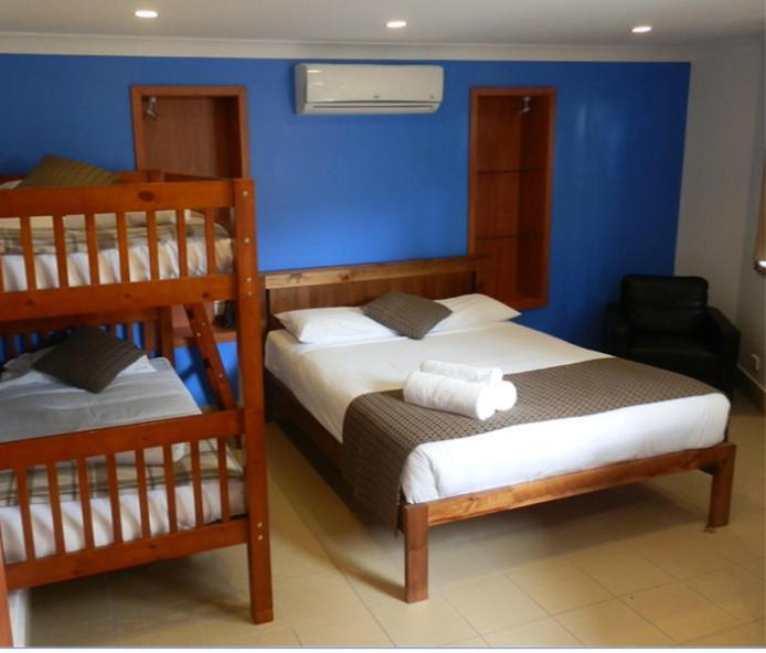 Koala Tree Motel Port Macquarie Rom bilde