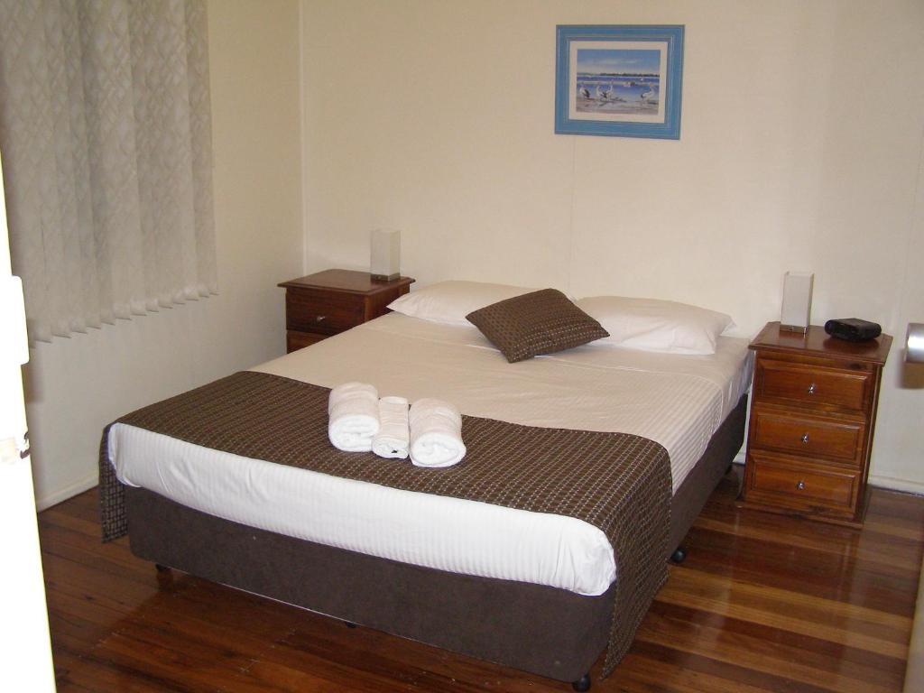 Koala Tree Motel Port Macquarie Rom bilde
