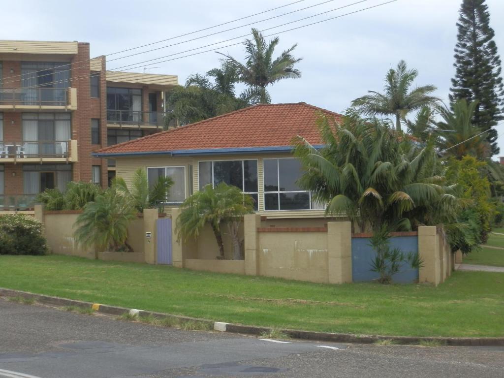 Koala Tree Motel Port Macquarie Rom bilde